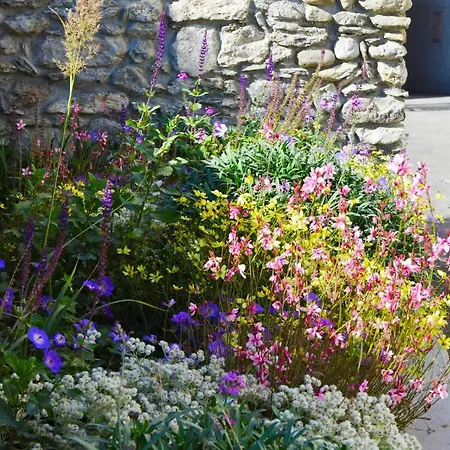 Casa Toedi Restaurant Värdshus Trun