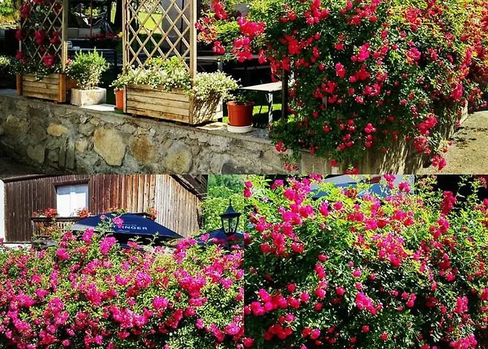 Casa Toedi Restaurant Han/Misafirhane 3*