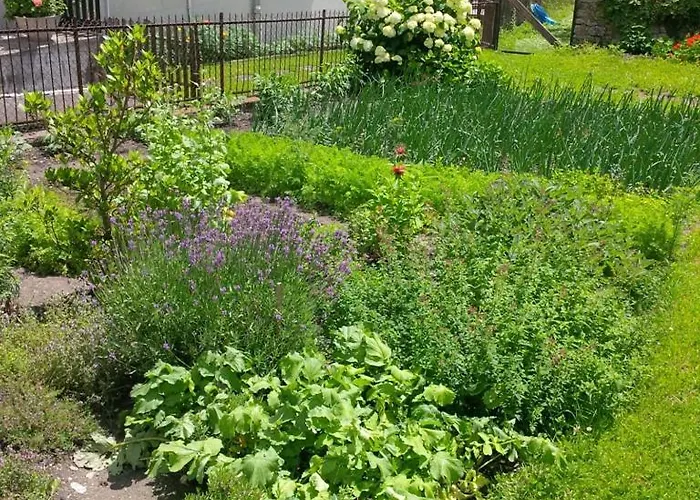 Casa Toedi Restaurant 3*