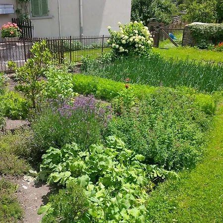 Casa Toedi Restaurant 3*