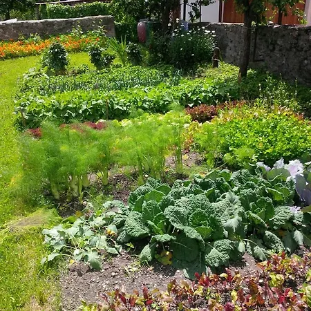 Мини-отель Casa Toedi Restaurant