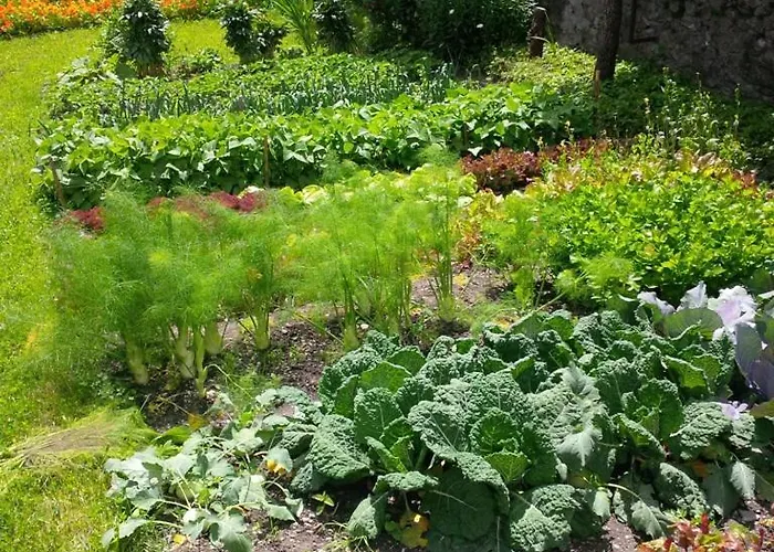 Herberg Casa Toedi Restaurant